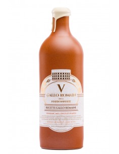 V Gallo Romain de la...