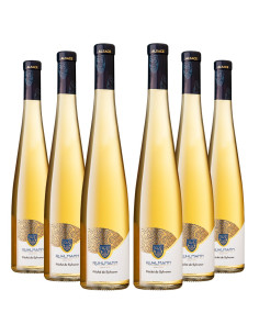 Famille Ruhlmann-Schutz -...