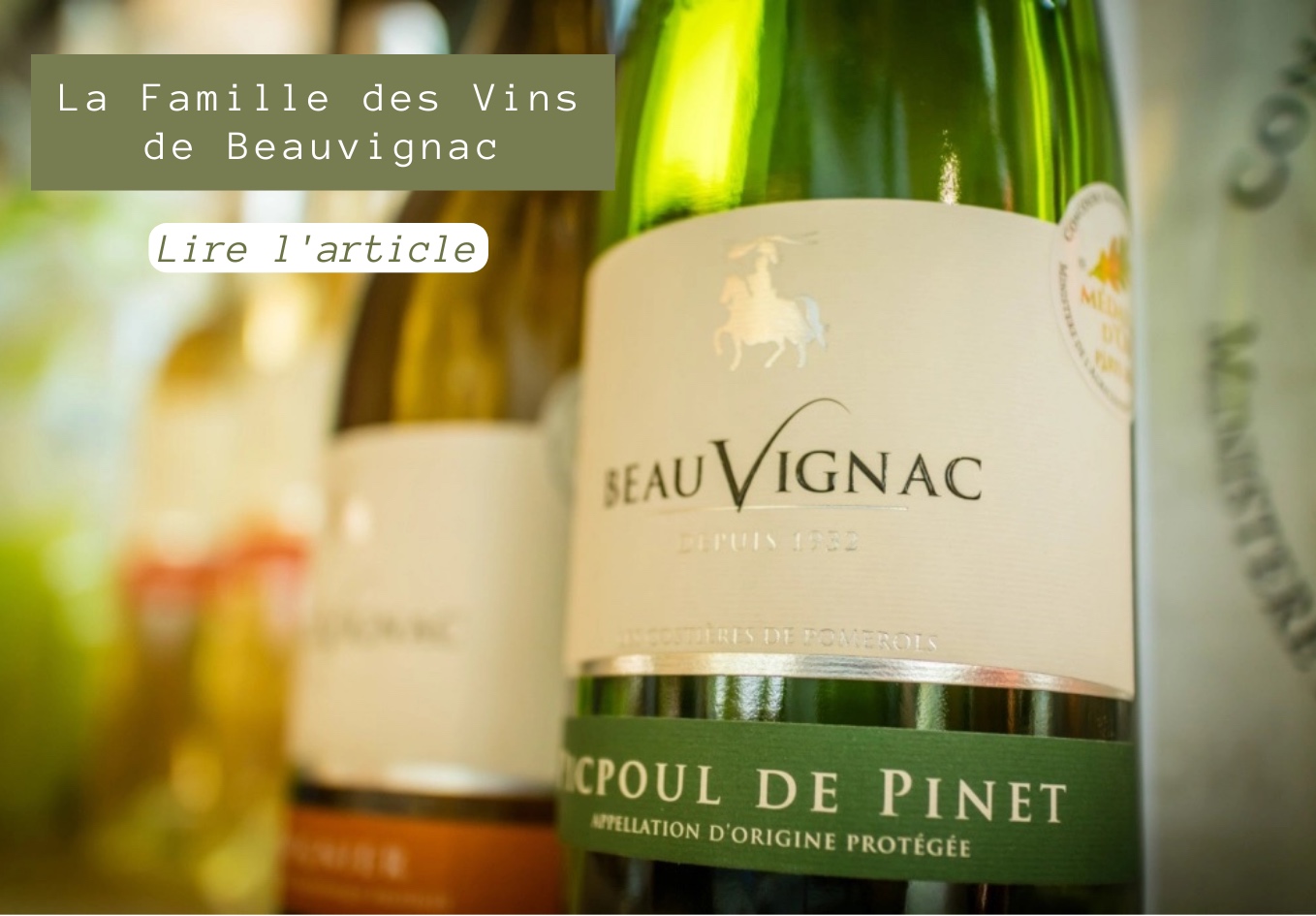 La Famille des Vins de Beauvignac